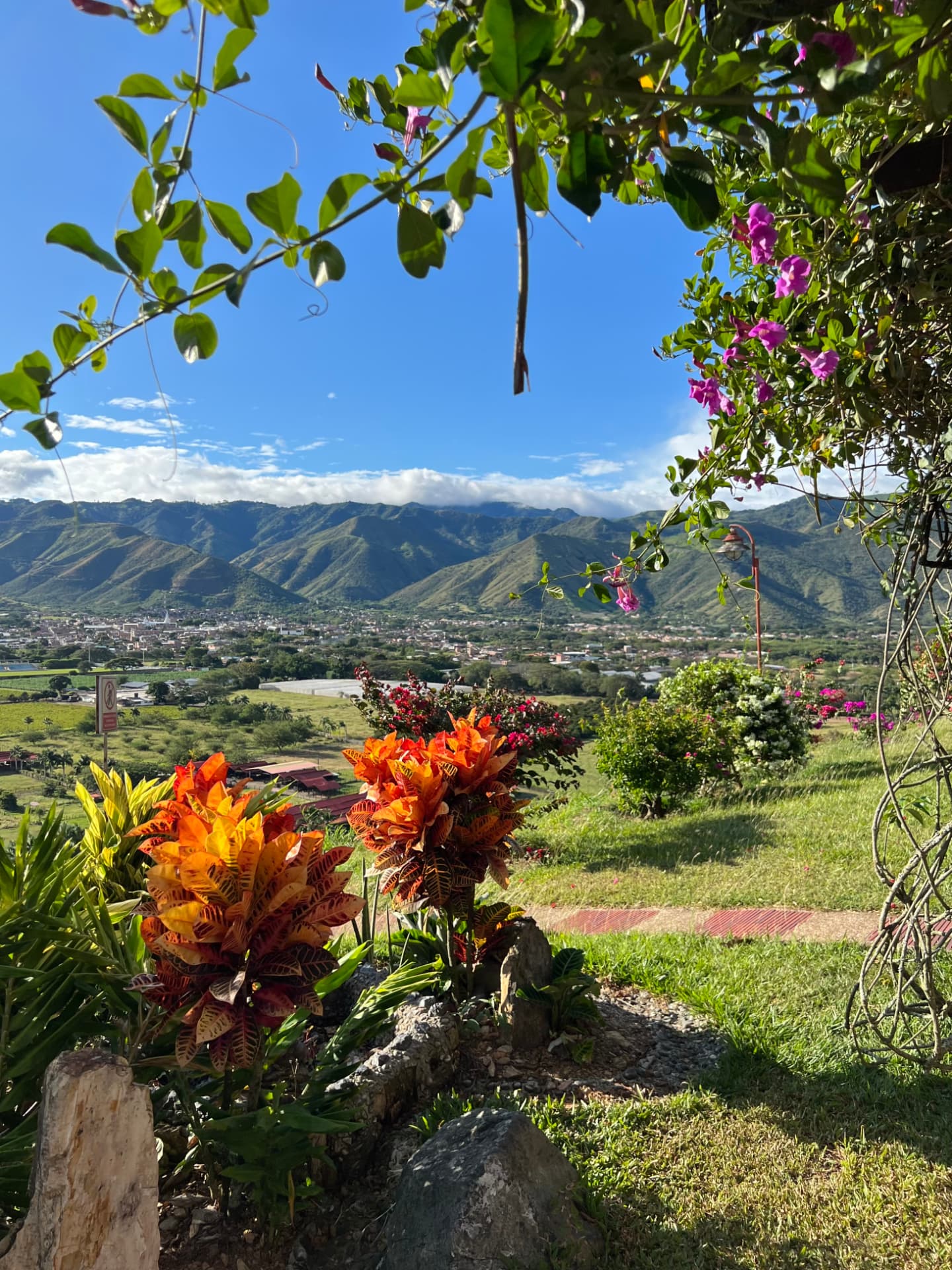 Green mountains above a valley town, framed by flowering plants